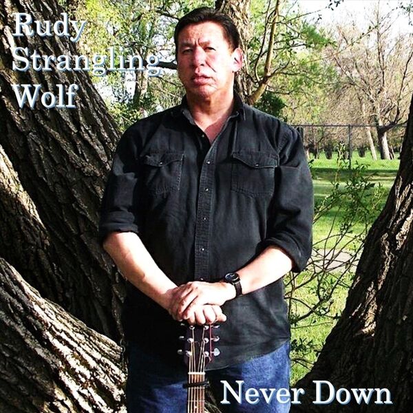 Cover art for Never Down